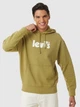 Худи мужское Levi's Relaxed Fit 384790111 S Зеленое (5401039476678) - изображение 1