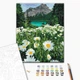 Картина по номерам Ромашки у гор (BS29451) Brushme 40x50 см - изображение 1