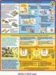 Куточок безпеки в школі оформлення 6400х1000 мм Д-9283 - изображение 6