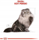 Сухий корм Royal Canin Persian Adult для дорослих котів персидської породи 400 г (3182550702607) - зображення 5