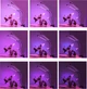 Фітолампа світлодіодна для рослин, Plant Grow Light 2 гілки, з таймером - зображення 4
