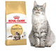 Сухий корм Royal Canin Maine Coon для дорослих котів породи Мейн Кун 400 г (3182550710633) - зображення 2