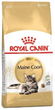 Сухий корм Royal Canin Maine Coon для дорослих котів породи Мейн Кун 400 г (3182550710633) - зображення 1