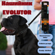 Нашийник EVOLUTOR, регульований, універсальний розмір, чорний - зображення 1