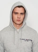 Толстовка на молнии мужская Tommy Hilfiger 11185.5 L (48) Светло-серая (2000000001364) - изображение 4