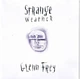 GLENN FREY – Strange Weather (CD, б/у, EU) - изображение 1