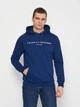 Худи мужское Tommy Hilfiger 11262.4 L (48) Электрик (2000000004907) - изображение 1
