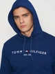 Худи мужское Tommy Hilfiger 11262.4 L (48) Электрик (2000000004907) - изображение 4