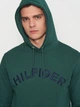 Худи мужское Tommy Hilfiger 11264.2 M (46) Зеленое (2000000005225) - изображение 4