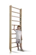 Шведська стінка Sportbaby Sport 0-220 - зображення 1