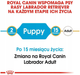 Сухий корм Royal Canin Labrador Retriever Puppy для цуценят породи лабрадор ретривер 1 кг (3182550725484) - зображення 8