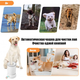 Лапомийка автоматична Pet Foot Wash 827-6 з силіконовими щетинками для очищення лап від USB - зображення 5