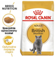 Sucha karma Royal Canin British Shorthair Adult dla dorosłych kotów rasy brytyjskiej krótkowłosej 400 g (3182550756402) - obraz 3