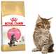 Sucha karma Royal Canin Maine Coon Kitten dla kociąt rasy Maine Coon 400 g (3182550770941) - obraz 2