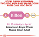 Sucha karma Royal Canin Maine Coon Kitten dla kociąt rasy Maine Coon 400 g (3182550770941) - obraz 3