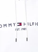 Мужское худи Tommy Hilfiger размер S белое (MW0MW11599) - изображение 6