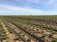 Крапельна стрічка 16 мм крок 10 см товщина стінки 6 mils Garden Tools бухта 100 м - зображення 2