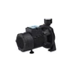 Насос поверхностный поливочный Pumpman TGA1A Нmax 18 м Qmax 16 куб.м 750 Вт - изображение 1