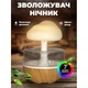 Увлажнитель воздуха ночник гриб с эффектом дождя с подстветкой RGB, коричневый (D-2019091352) - изображение 1