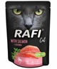 Влажный корм для котов Dolina Noteci Rafi Cat Pouch Adult with Salmon с лососем 300 г - изображение 1