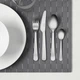 Набір столових приборів IKEA драгон, 24 шт., нержавіюча сталь, 900.917.60 - зображення 5