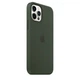 Чехол силиконовый Wave Premium AAA Silicone Case with MagSafe для Apple iPhone 12 Pro Max Cyprus Green - изображение 2