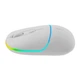 Мишка Canyon MW-22 Dual Band RGB Wireless Snow White (CNS-CMSW22SW) - изображение 4