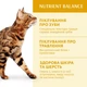 Сухой корм для кошек Optimeal Chicken с курицей 700 г (4820215364676) - изображение 3