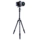 Штатив Vanguard Vesta TB 204CB (Vesta TB 204CB) - зображення 5