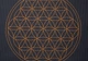 Килимок для йоги Bodhi Leela Flower of Life антрацит 183x60x0.45 см - зображення 4