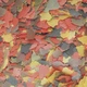 Корм для всех аквариумных рыб Tropical Ichtio-vit в хлопьях 21 л (4 кг) - изображение 2