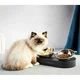 Кормушка PETKIT Fresh Nano Metal 15° Adjustable Cat Feeding Bowl P5201 Silver - изображение 4