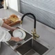 Змішувач для кухні із краном для фільтрованої води FRAP чорний латунь F4396-3 - зображення 8