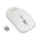 Миша бездротова Gembird MUSW-4B-01-W White USB - изображение 1