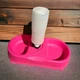 Годівниця 2в1 миска з автоматичною напувалкою для собак і кішок Pet Feeder рожева - зображення 2