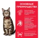 Сухий корм Hill`s SP Fel Adult для дорослих котів з куркою 3 (кг) - зображення 2