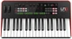 Синтезатор IK Multimedia UNO Synth Pro - зображення 1