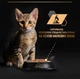 Вологий корм для кошенят Purina Pro Plan Junior Nutrisavour Шматочки в паштеті з індичкою 13 шт по 75 г - зображення 6