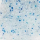 Силикагелевый наполнитель для кошачьего туалета «SaniPet» 5л. - изображение 4