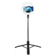 Монопод с кольцевой LED лампой USAMS US-ZB241 Portable LED Ring Light With Tripod (Max 1.68m) (Black) (159402) - изображение 1