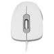 Мышка Modecom MC-M10S, 3кн., 1000dpi, Silent, белая - изображение 6