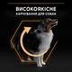 Сухой корм для собак Purina Pro Plan Medium Adult с курицей 14 кг (7613035120488) - изображение 6