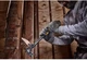 Молоток демонтажный DeWALT DEMO-CLAW цельнометаллический, вес головки 624 г, с прямым гвоздодером, общая длина 430 мм DWHT51008-0 - изображение 5
