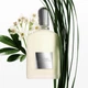 Парфюмированная вода для мужчин Tom Ford Grey Vetiver 50 мл - изображение 3