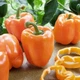 Перец сладкий Абрикосовая Фаворитка GL Seeds 0,25 г - изображение 2