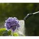 Опрыскиватель аккумуляторный Gardena EasyPump 5 л (11136-20.000.00) - изображение 10