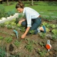 Сажалка для рассады GARDENA 19,5 см (03487-20.000.00) - изображение 2