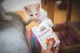 Вологий корм Brit Care Cat Pouch для котів, філе в соусі, качка, 85 г (1111162662) - изображение 3