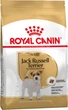 Корм для дорослих собак породи Джек-Рассел-тер'єр ROYAL CANIN JACK RUSSEL ADULT 7,5 кг (21000759) - изображение 1