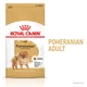 Сухий корм для дорослих собак породи Померанський шпіц ROYAL CANIN POMERANIAN ADULT 1,5 кг (1255015) - изображение 2